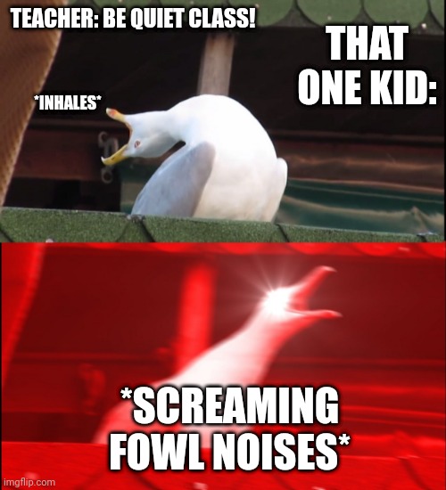 Screaming bird | THAT ONE KID:; TEACHER: BE QUIET CLASS! *INHALES*; *SCREAMING FOWL NOISES* | image tagged in screaming bird | made w/ Imgflip meme maker