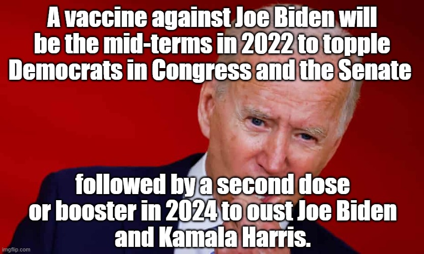 A vaccine against Joe Biden will be the mid-terms in 2022 to topple Democrats in Congress and the Senate followed by a second do |  A vaccine against Joe Biden will be the mid-terms in 2022 to topple Democrats in Congress and the Senate; followed by a second dose or booster in 2024 to oust Joe Biden
and Kamala Harris. | image tagged in memes,political memes,joe biden,vaccines,covid-19,american politics | made w/ Imgflip meme maker