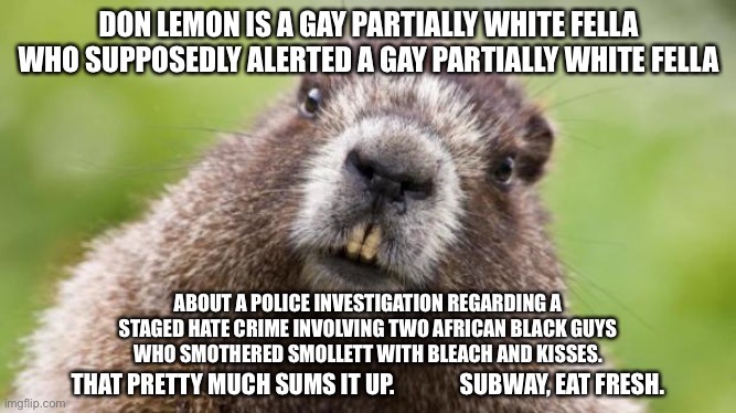 Too bad the Smollett trial isn’t on TV. It’s comedy. | DON LEMON IS A GAY PARTIALLY WHITE FELLA WHO SUPPOSEDLY ALERTED A GAY PARTIALLY WHITE FELLA; ABOUT A POLICE INVESTIGATION REGARDING A STAGED HATE CRIME INVOLVING TWO AFRICAN BLACK GUYS
WHO SMOTHERED SMOLLETT WITH BLEACH AND KISSES. THAT PRETTY MUCH SUMS IT UP.              SUBWAY, EAT FRESH. | image tagged in mr beaver,memes,jussie smollett,don lemon,black and white,hoax | made w/ Imgflip meme maker