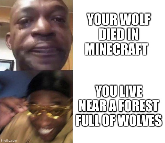 Black Guy Crying and Black Guy Laughing | YOUR WOLF DIED IN MINECRAFT; YOU LIVE NEAR A FOREST FULL OF WOLVES | image tagged in black guy crying and black guy laughing | made w/ Imgflip meme maker