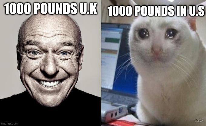 1000 ponds vs 1000 (Couldn't think of good title) | 1000 POUNDS IN U.S; 1000 POUNDS U.K | image tagged in happy mad,crying cat meme template | made w/ Imgflip meme maker
