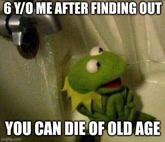 AAAAAAAAAA | 6 Y/O ME AFTER FINDING OUT; YOU CAN DIE OF OLD AGE | image tagged in kermit crying terrified in shower | made w/ Imgflip meme maker
