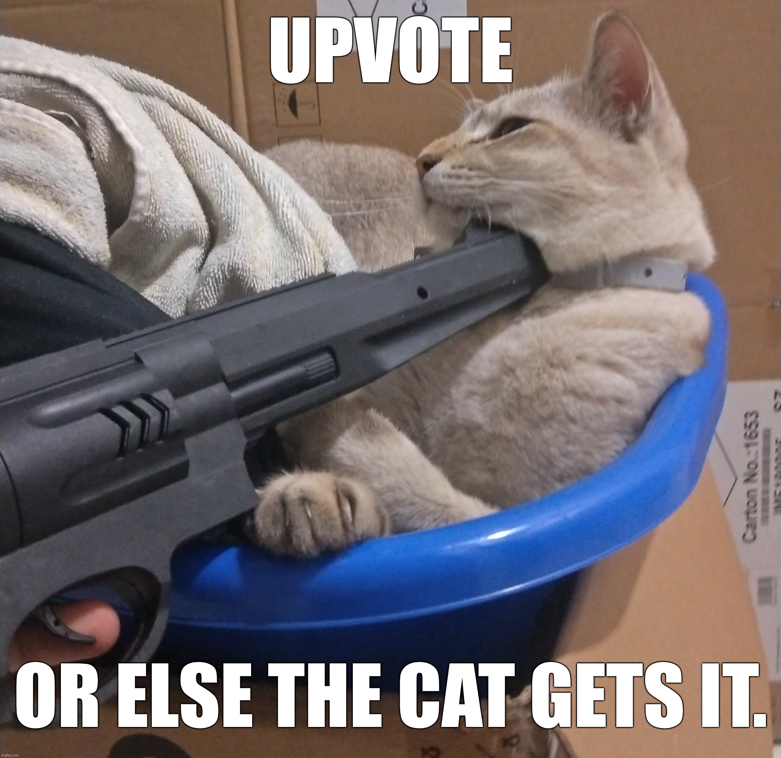 UPVOTE; OR ELSE THE CAT GETS IT. | made w/ Imgflip meme maker