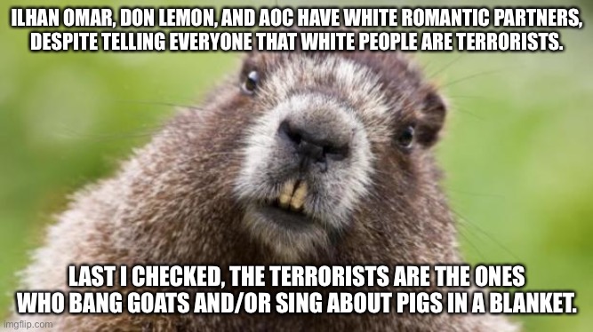 Racists are banging “terrorists”, and goats. | ILHAN OMAR, DON LEMON, AND AOC HAVE WHITE ROMANTIC PARTNERS,
DESPITE TELLING EVERYONE THAT WHITE PEOPLE ARE TERRORISTS. LAST I CHECKED, THE TERRORISTS ARE THE ONES WHO BANG GOATS AND/OR SING ABOUT PIGS IN A BLANKET. | image tagged in mr beaver,memes,racist,animal farm,black and white,goat | made w/ Imgflip meme maker