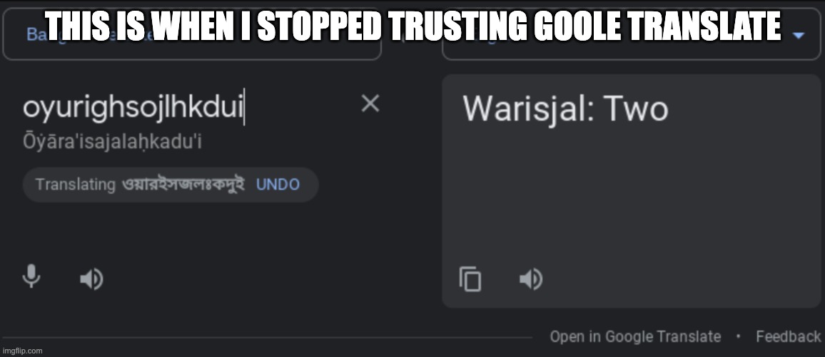 Cause THAT makes sense | THIS IS WHEN I STOPPED TRUSTING GOOLE TRANSLATE | image tagged in google translate,funny | made w/ Imgflip meme maker