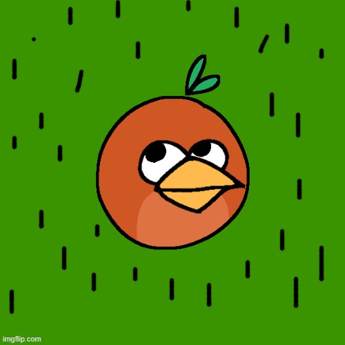 Angry Bird: Ournge | image tagged in angry birds,oc | made w/ Imgflip meme maker