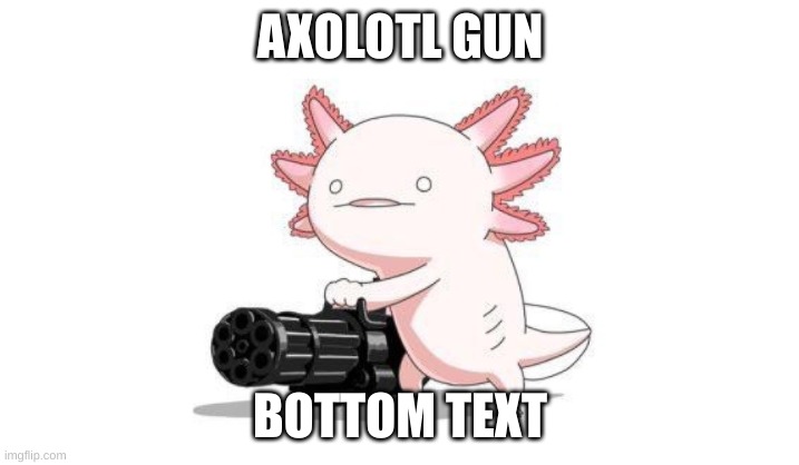 Axolotl gun | AXOLOTL GUN BOTTOM TEXT | image tagged in axolotl gun | made w/ Imgflip meme maker