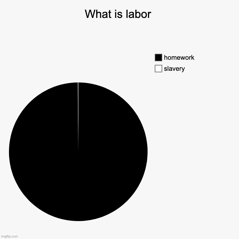 (not a repost, just couldn't post in fun stream) | What is labor | slavery, homework | image tagged in charts,pie charts | made w/ Imgflip chart maker