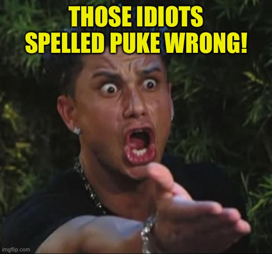 DJ Pauly D Meme | THOSE IDIOTS SPELLED PUKE WRONG! | image tagged in memes,dj pauly d | made w/ Imgflip meme maker