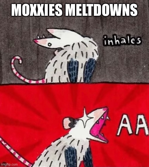 Moxxie having a meltdown | MOXXIES MELTDOWNS | image tagged in helluva boss,possum | made w/ Imgflip meme maker