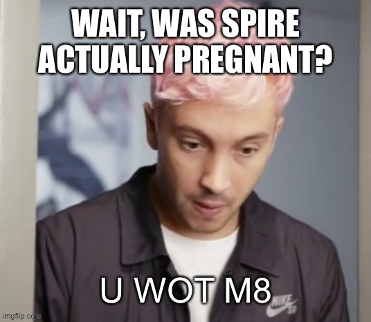 Or smth like that | WAIT, WAS SPIRE ACTUALLY PREGNANT? | image tagged in tyler joseph u wot m8 | made w/ Imgflip meme maker