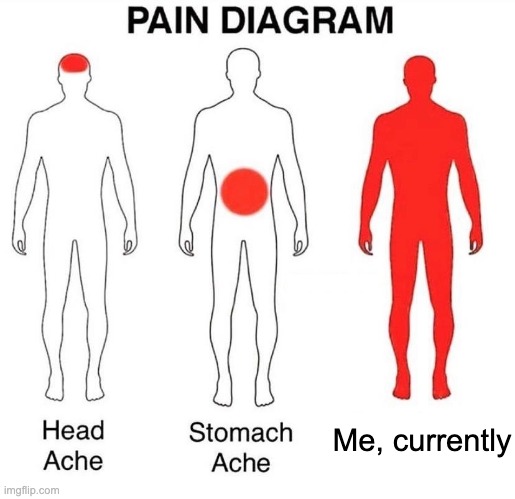 Please Help. | Me, currently | image tagged in pain diagram | made w/ Imgflip meme maker