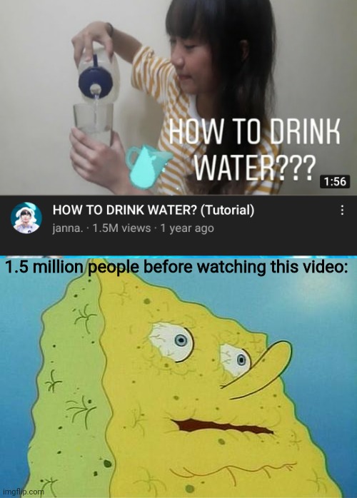  1.5 million people before watching this video: | image tagged in funny,memes,gifs,not really a gif,oh wow are you actually reading these tags,stop reading the tags,madlad | made w/ Imgflip meme maker
