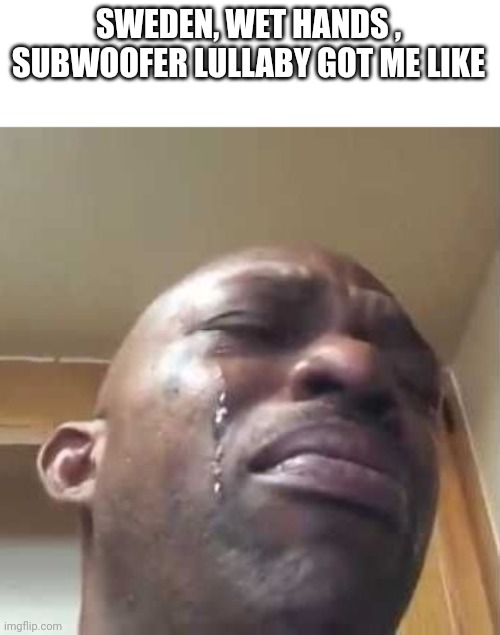 Or any Minecraft music | SWEDEN, WET HANDS , SUBWOOFER LULLABY GOT ME LIKE | image tagged in crying black guy | made w/ Imgflip meme maker