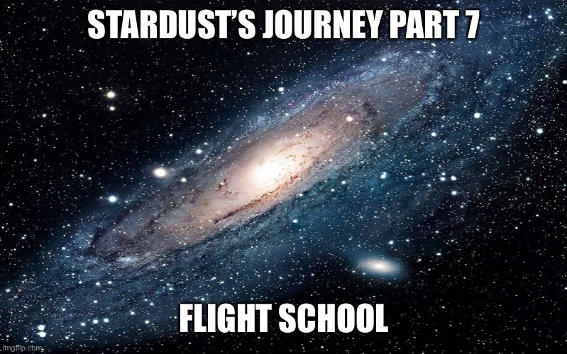 Before you tell how it’s been so long since I’ve added to the story.. I know. It’s a short one today, sorry. | STARDUST’S JOURNEY PART 7; FLIGHT SCHOOL | image tagged in galaxy | made w/ Imgflip meme maker