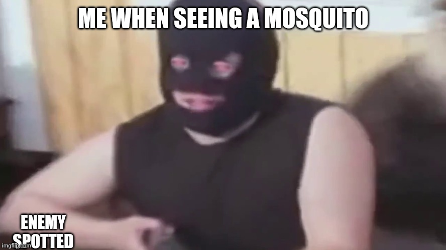 Idk | ME WHEN SEEING A MOSQUITO; ENEMY SPOTTED | image tagged in memes | made w/ Imgflip meme maker