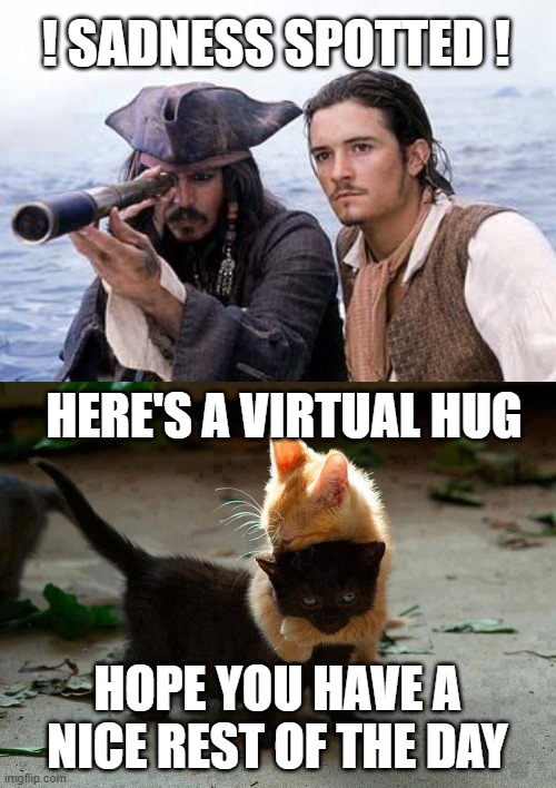 *hugs* | ! SADNESS SPOTTED ! HERE'S A VIRTUAL HUG; HOPE YOU HAVE A NICE REST OF THE DAY | image tagged in pirate telescope,kitten hug,hug,memes | made w/ Imgflip meme maker