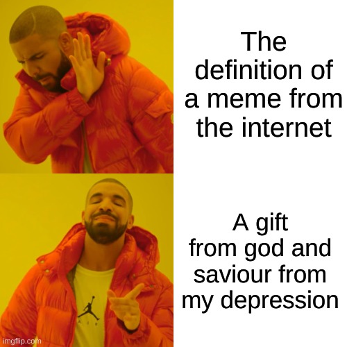 drake hotline bling | The definition of a meme from the internet; A gift from god and saviour from my depression | image tagged in memes,drake hotline bling | made w/ Imgflip meme maker