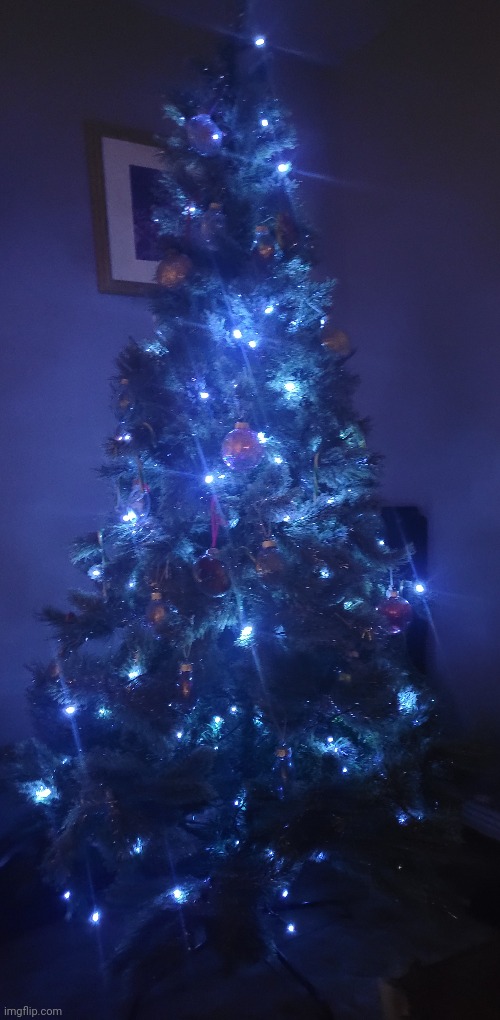 We finally put our tree up D Imgflip