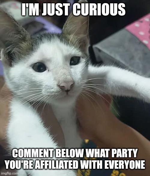 fafa | I'M JUST CURIOUS; COMMENT BELOW WHAT PARTY YOU'RE AFFILIATED WITH EVERYONE | image tagged in fafa | made w/ Imgflip meme maker