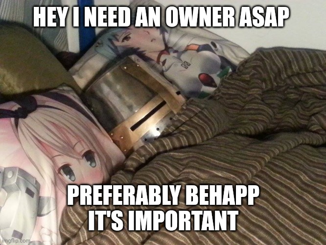 Weeb Crusader | HEY I NEED AN OWNER ASAP; PREFERABLY BEHAPP
IT'S IMPORTANT | image tagged in weeb crusader | made w/ Imgflip meme maker
