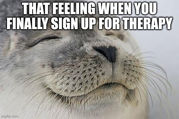 Finally did it | THAT FEELING WHEN YOU FINALLY SIGN UP FOR THERAPY | image tagged in memes,satisfied seal | made w/ Imgflip meme maker