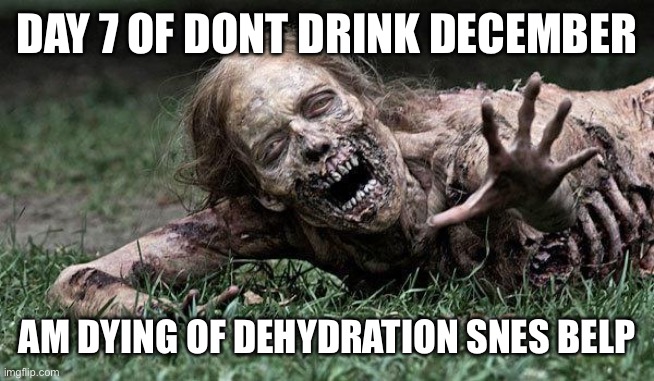 Walking Dead Zombie | DAY 7 OF DONT DRINK DECEMBER; AM DYING OF DEHYDRATION SNES BELP | image tagged in walking dead zombie | made w/ Imgflip meme maker