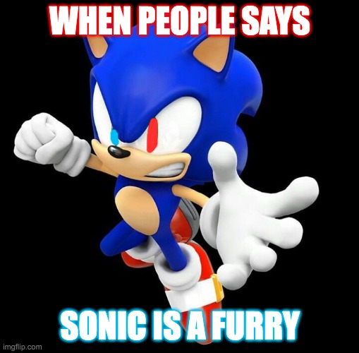 when people says sonic is a furry - Imgflip