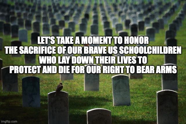 Honor US Children | LET'S TAKE A MOMENT TO HONOR THE SACRIFICE OF OUR BRAVE US SCHOOLCHILDREN WHO LAY DOWN THEIR LIVES TO PROTECT AND DIE FOR OUR RIGHT TO BEAR ARMS | image tagged in honor,gun control,guns,gun laws | made w/ Imgflip meme maker