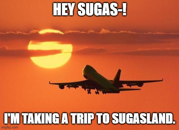 Takin' a Trip. |  HEY SUGAS-! I'M TAKING A TRIP TO SUGASLAND. | image tagged in airplanelove | made w/ Imgflip meme maker