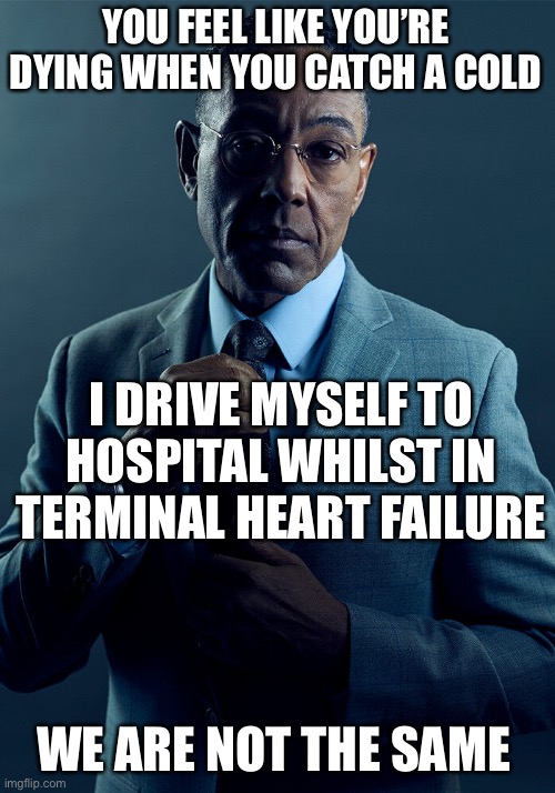 A bad cold, you say | YOU FEEL LIKE YOU’RE DYING WHEN YOU CATCH A COLD; I DRIVE MYSELF TO HOSPITAL WHILST IN TERMINAL HEART FAILURE; WE ARE NOT THE SAME | image tagged in gus fring we are not the same,cold,flu,heart failure,terminal,hospital | made w/ Imgflip meme maker