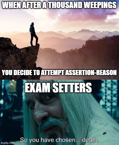 CBSE assertion-reason type questions | WHEN AFTER A THOUSAND WEEPINGS; YOU DECIDE TO ATTEMPT ASSERTION-REASON; EXAM SETTERS | image tagged in exams,cbse,assertionreason | made w/ Imgflip meme maker