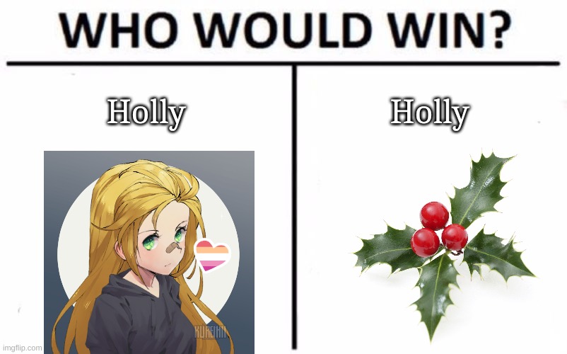 Who Would Win? Meme | Holly; Holly | image tagged in memes,who would win | made w/ Imgflip meme maker