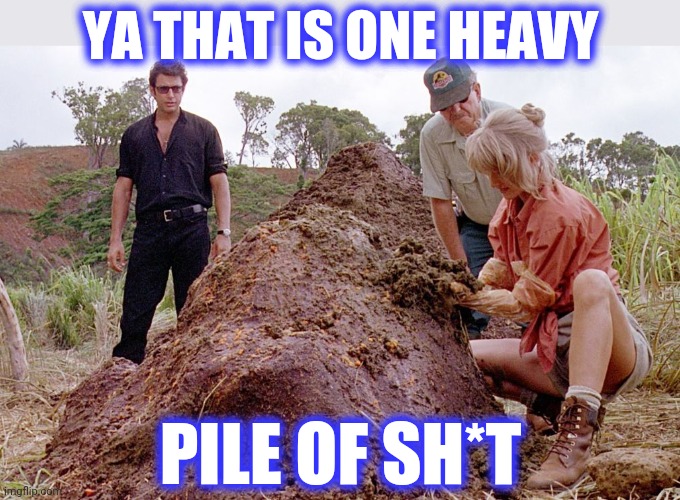 Jurassic Park Triceratops poop | YA THAT IS ONE HEAVY PILE OF SH*T | image tagged in jurassic park triceratops poop | made w/ Imgflip meme maker