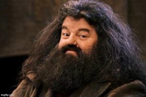 Hagrid | image tagged in hagrid | made w/ Imgflip meme maker