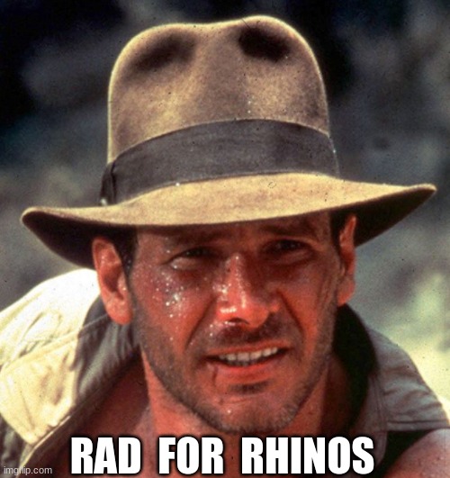 Celebrity Anagrams | RAD  FOR  RHINOS | image tagged in harrison ford,reid moore,funny,indiana jones,anagram | made w/ Imgflip meme maker