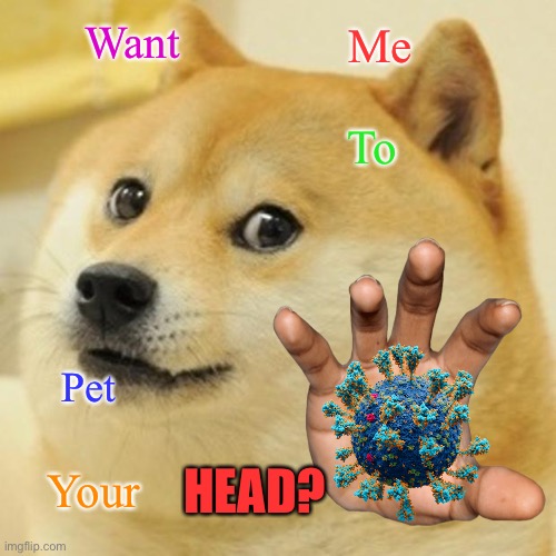 Coronavirus dog | Want; Me; To; Pet; HEAD? Your | image tagged in memes,doge,pet,hand,coronavirus,covid-19 | made w/ Imgflip meme maker