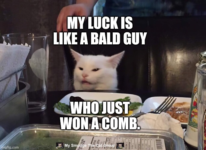 MY LUCK IS LIKE A BALD GUY; WHO JUST WON A COMB. | image tagged in smudge the cat | made w/ Imgflip meme maker