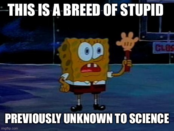 THIS IS A BREED OF STUPID PREVIOUSLY UNKNOWN TO SCIENCE | image tagged in advanced spongebob | made w/ Imgflip meme maker