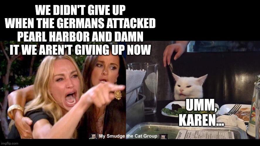 WE DIDN'T GIVE UP WHEN THE GERMANS ATTACKED PEARL HARBOR AND DAMN IT WE AREN'T GIVING UP NOW; UMM, KAREN... | image tagged in smudge the cat | made w/ Imgflip meme maker