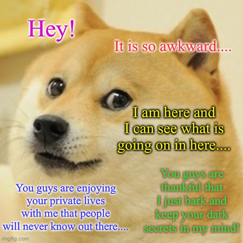 Doge is the best dog in the world! | Hey! It is so awkward.... I am here and I can see what is going on in here.... You guys are thankful that I just bark and keep your dark secrets in my mind! You guys are enjoying your private lives with me that people will never know out there.... | image tagged in memes,doge,private,secrets,akward,thankful | made w/ Imgflip meme maker