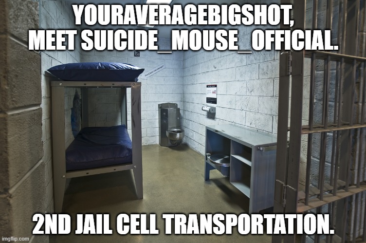 Jail cell | YOURAVERAGEBIGSHOT, MEET SUICIDE_MOUSE_OFFICIAL. 2ND JAIL CELL TRANSPORTATION. | image tagged in jail cell | made w/ Imgflip meme maker