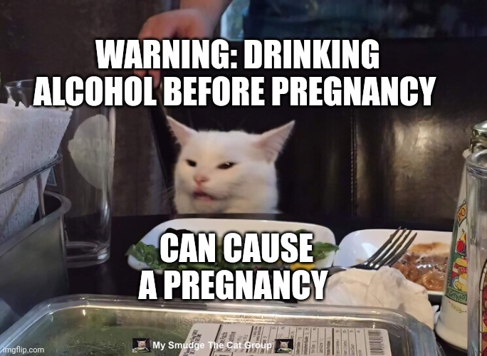 WARNING: DRINKING ALCOHOL BEFORE PREGNANCY; CAN CAUSE A PREGNANCY | image tagged in smudge the cat | made w/ Imgflip meme maker