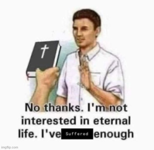 image tagged in memes | made w/ Imgflip meme maker