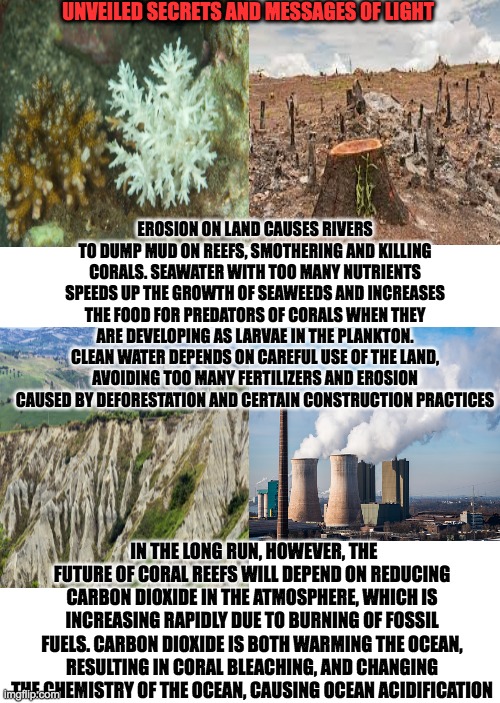 death of corals | UNVEILED SECRETS AND MESSAGES OF LIGHT; EROSION ON LAND CAUSES RIVERS TO DUMP MUD ON REEFS, SMOTHERING AND KILLING CORALS. SEAWATER WITH TOO MANY NUTRIENTS SPEEDS UP THE GROWTH OF SEAWEEDS AND INCREASES THE FOOD FOR PREDATORS OF CORALS WHEN THEY ARE DEVELOPING AS LARVAE IN THE PLANKTON. CLEAN WATER DEPENDS ON CAREFUL USE OF THE LAND, AVOIDING TOO MANY FERTILIZERS AND EROSION CAUSED BY DEFORESTATION AND CERTAIN CONSTRUCTION PRACTICES; IN THE LONG RUN, HOWEVER, THE FUTURE OF CORAL REEFS WILL DEPEND ON REDUCING CARBON DIOXIDE IN THE ATMOSPHERE, WHICH IS INCREASING RAPIDLY DUE TO BURNING OF FOSSIL FUELS. CARBON DIOXIDE IS BOTH WARMING THE OCEAN, RESULTING IN CORAL BLEACHING, AND CHANGING THE CHEMISTRY OF THE OCEAN, CAUSING OCEAN ACIDIFICATION | image tagged in coral | made w/ Imgflip meme maker