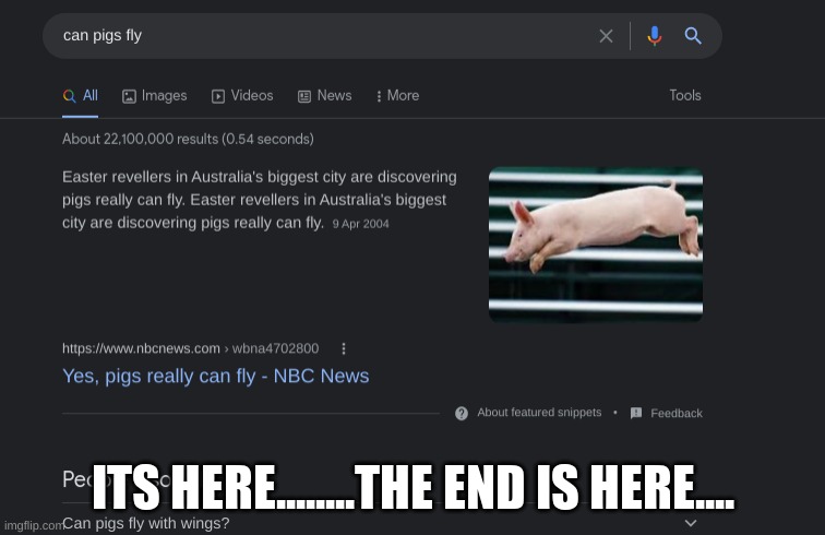 NO way | ITS HERE........THE END IS HERE.... | image tagged in pig,fly | made w/ Imgflip meme maker