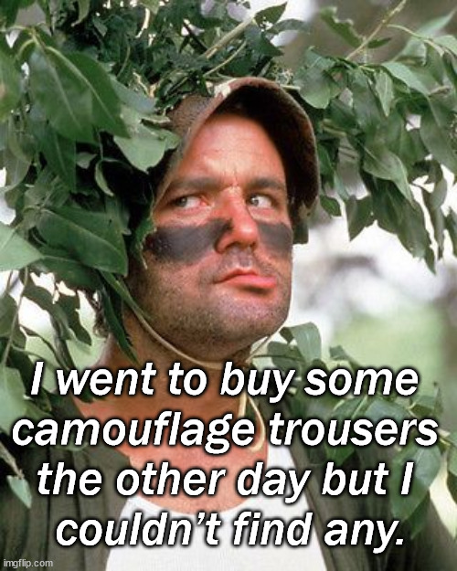 Bill Murray camouflaged | I went to buy some 
camouflage trousers 
the other day but I 
couldn’t find any. | image tagged in bill murray camouflaged,eyeroll | made w/ Imgflip meme maker