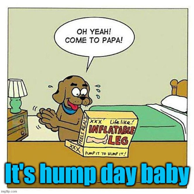 You know what day it is .... | image tagged in wednesday | made w/ Imgflip meme maker