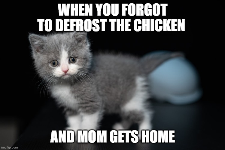 WHEN YOU FORGOT TO DEFROST THE CHICKEN; AND MOM GETS HOME | made w/ Imgflip meme maker