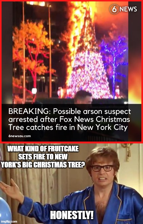 Arsonist - Its Fox's so it's clearly a Lefty | WHAT KIND OF FRUITCAKE SETS FIRE TO NEW YORK'S BIG CHRISTMAS TREE? HONESTLY! | image tagged in memes,austin powers honestly,arson,christmas tree | made w/ Imgflip meme maker